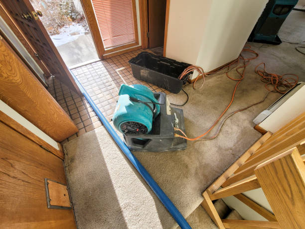 Best Flooded house restoration  in Ohatchee, AL