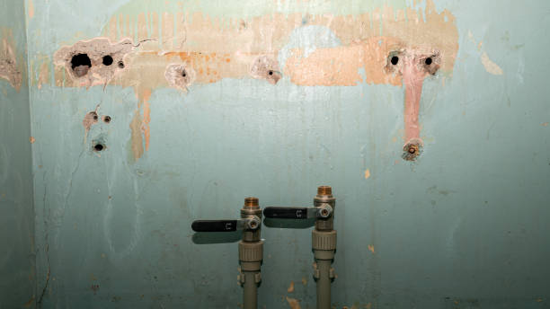 Best Commercial water damage restoration  in Ohatchee, AL