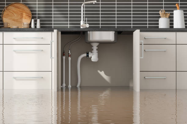 Best Water damage cleanup near me  in Ohatchee, AL