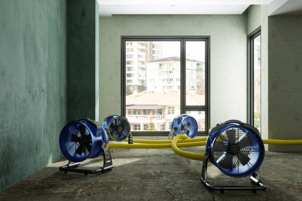 Best Emergency water damage restoration  in Ohatchee, AL